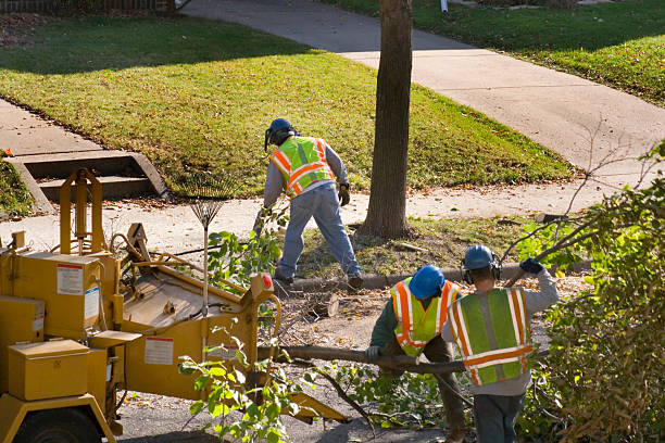 Lawn Pest Prevention in Vamo, FL